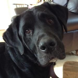 Meet your Posher, Alena